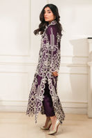 Picture of Raya Purple