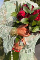 Picture of Hira Mirza in Nova