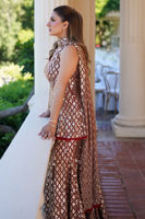 Picture of Samreen Tahir In Sadiya